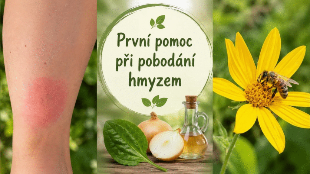 První pomoc při bodnutí hmyzem